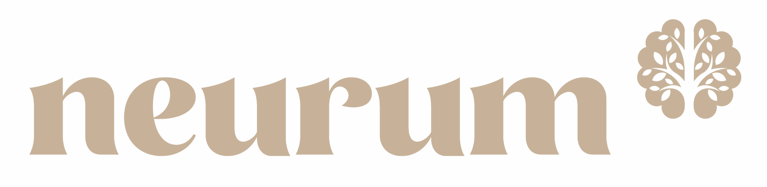 Neurum